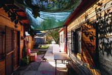 The Book of Pikpa Refugee Camp